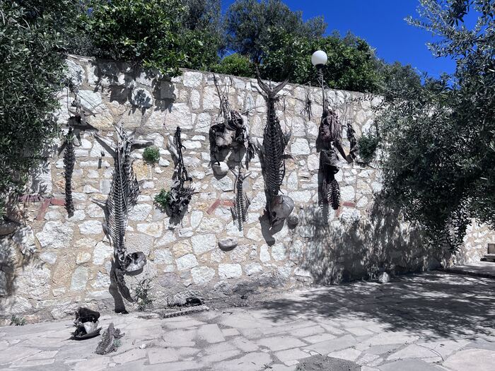 Vlorë